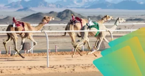 Travel and Tourism Camel Racing