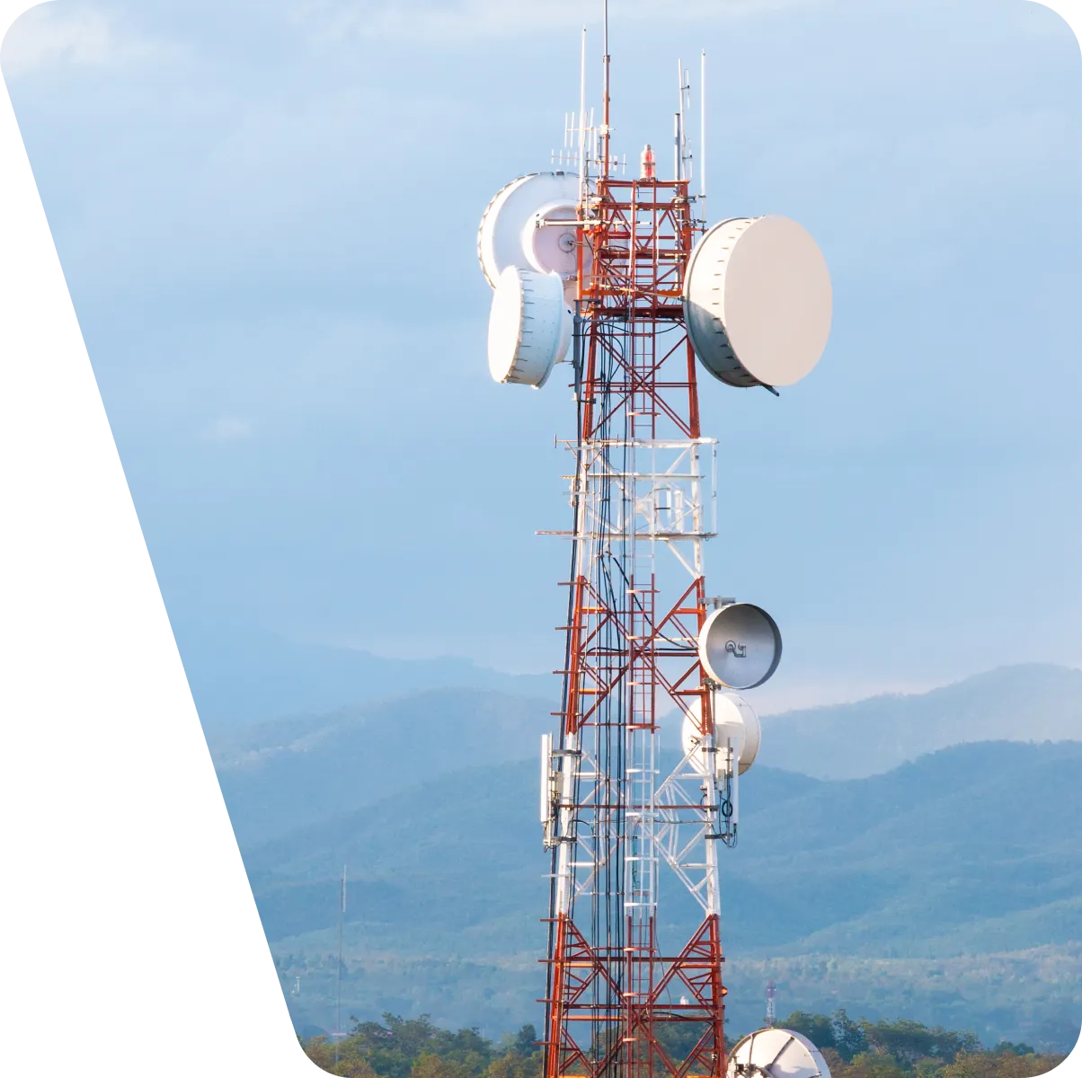 Telecom Industry Challenges