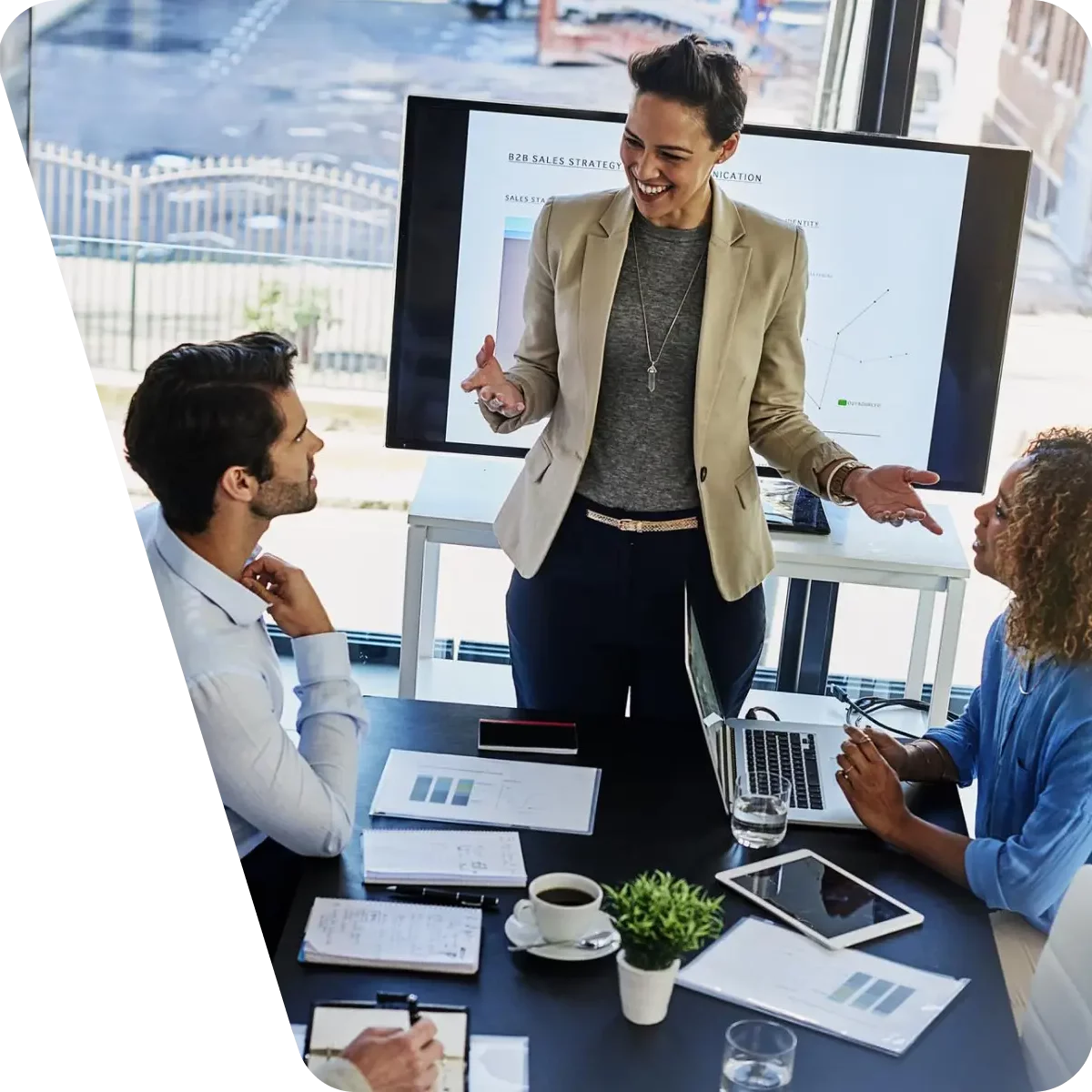 Who Our Insights Solutions Are For